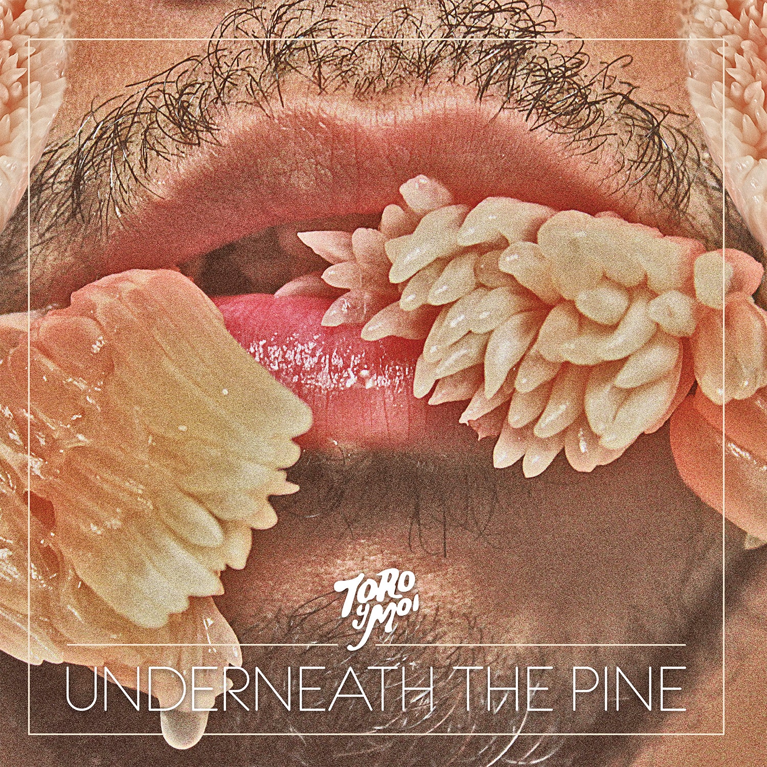 CAK059 Toro y Moi - Underneath The Pine – Carpark Records