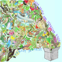 CAK030 Greg Davis and Sebastien Roux - Paquet Surprise