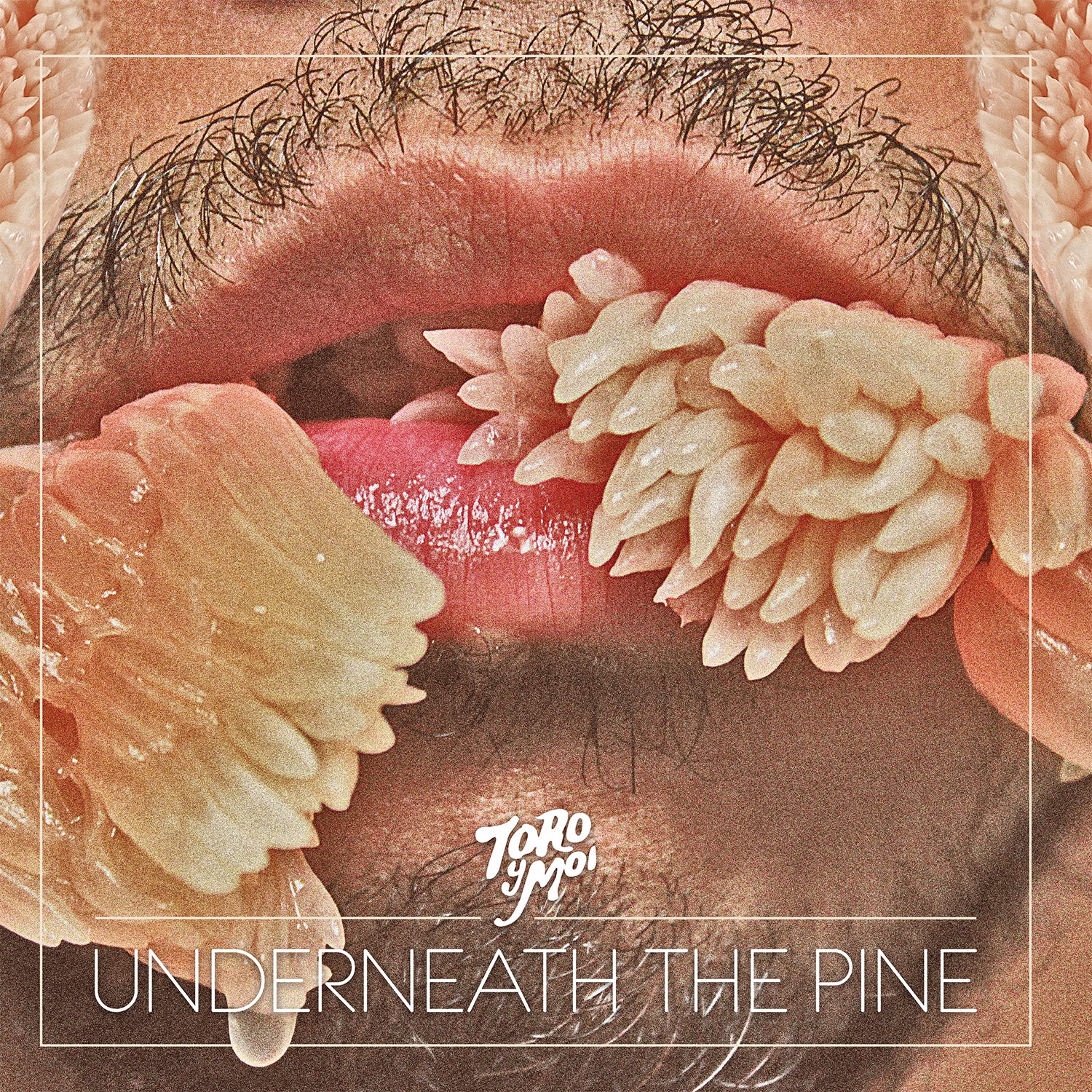 CAK059 Toro y Moi - Underneath The Pine