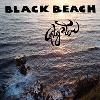 PAW28 Excepter - Black Beach