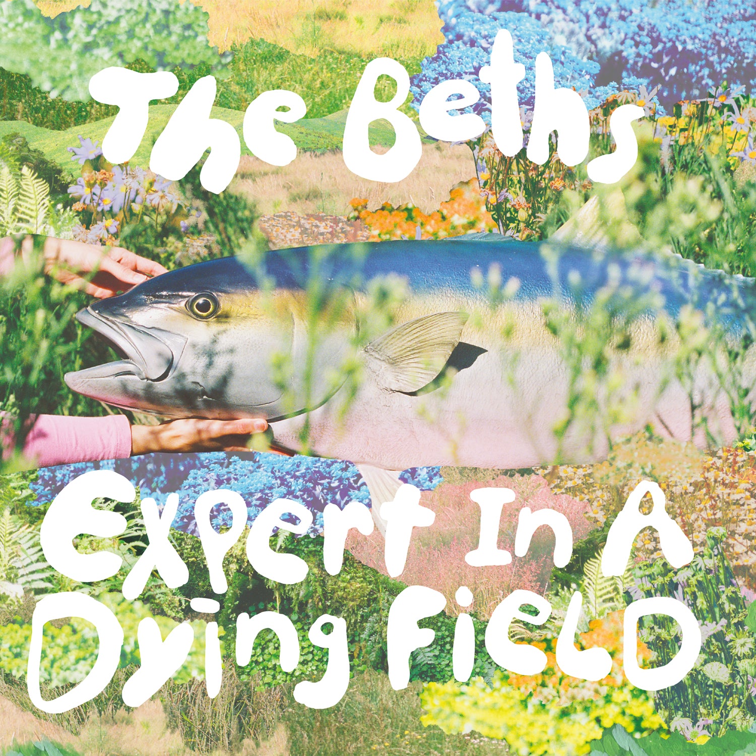 CAK164X The Beths - Expert In A Dying Field (Deluxe)