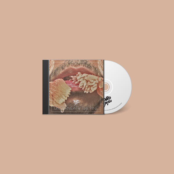 CAK059 Toro y Moi - Underneath The Pine