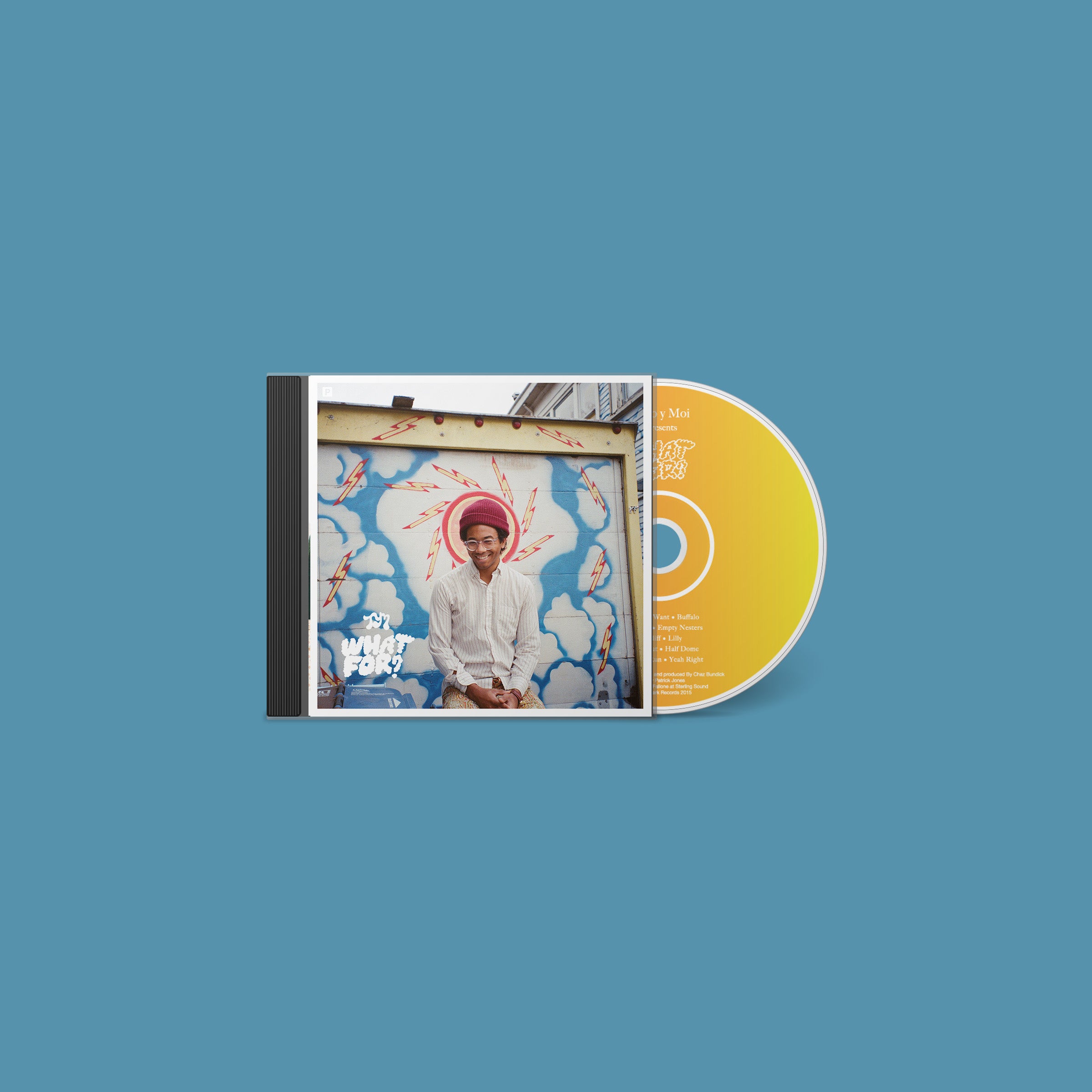 米2LP Toro Y Moi Boo Boo CAK121 Carpark Records /00520 CAK121 Toro y Moi - Boo Boo – Carpark Records