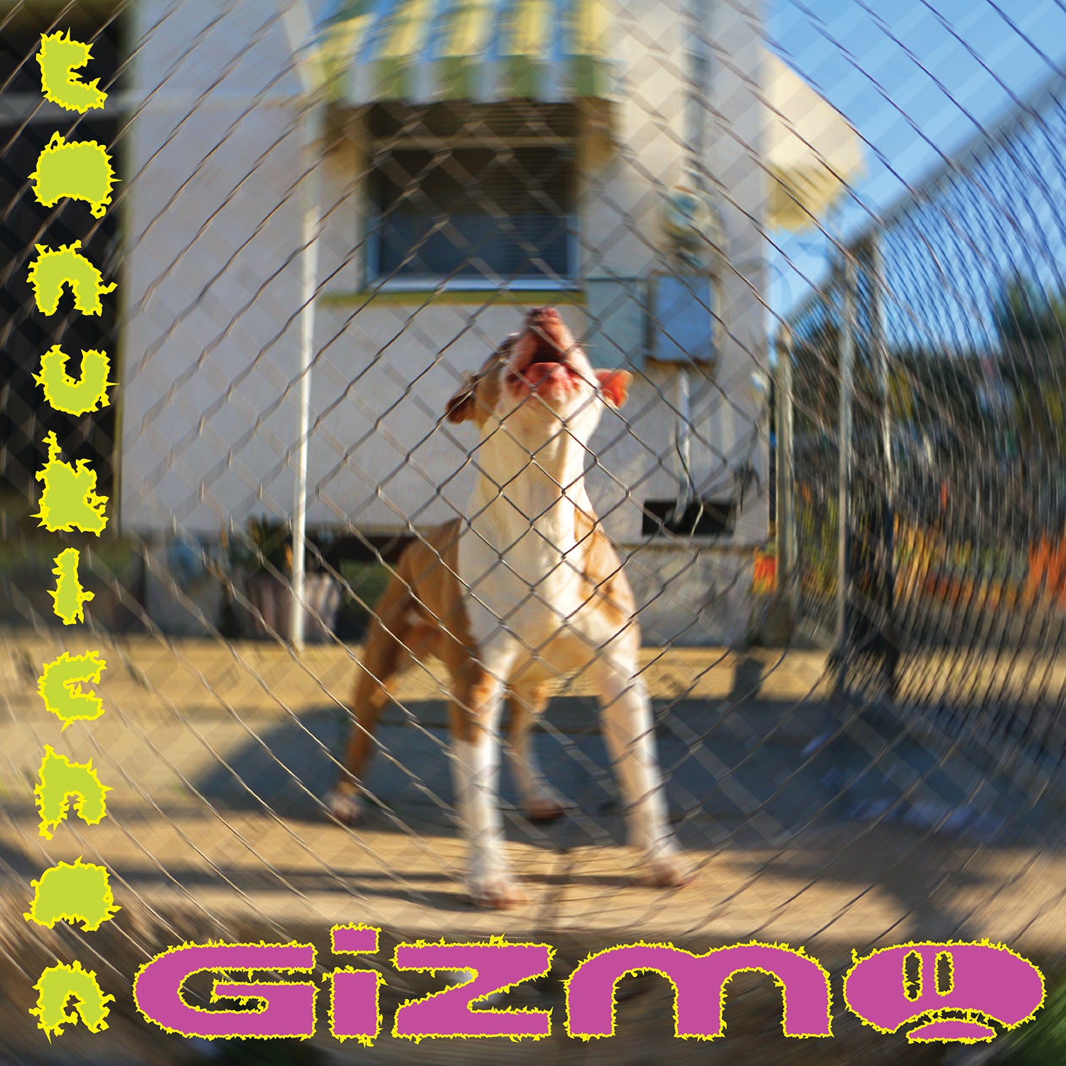 CHZ18 Tanukichan - GIZMO – Carpark Records