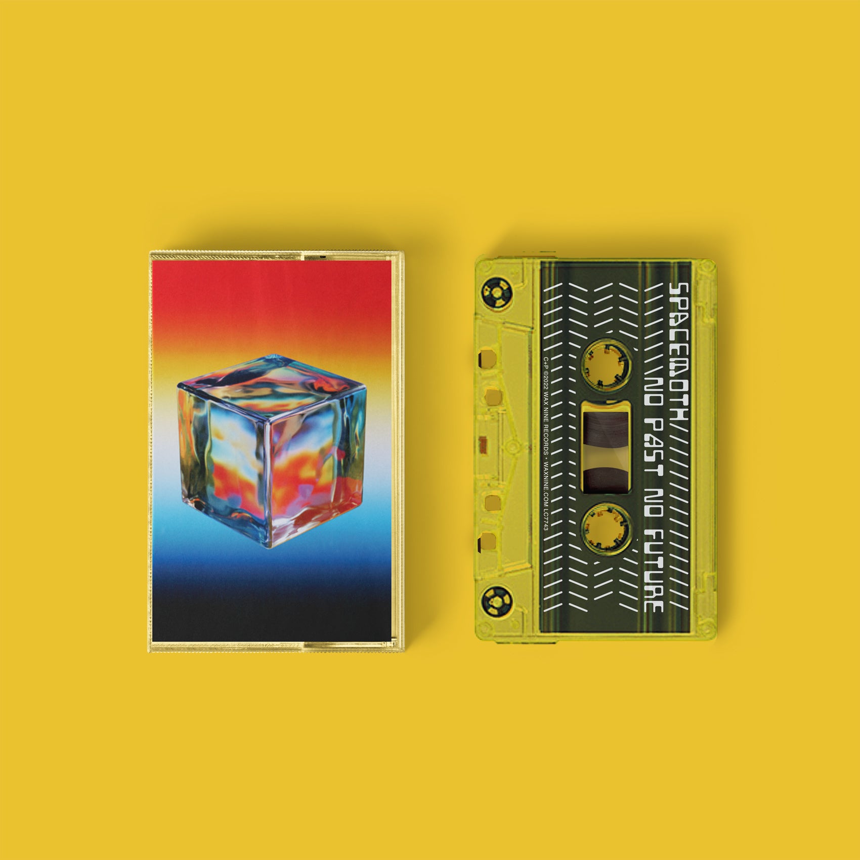 WIX08 Spacemoth - No Past No Future – Carpark Records