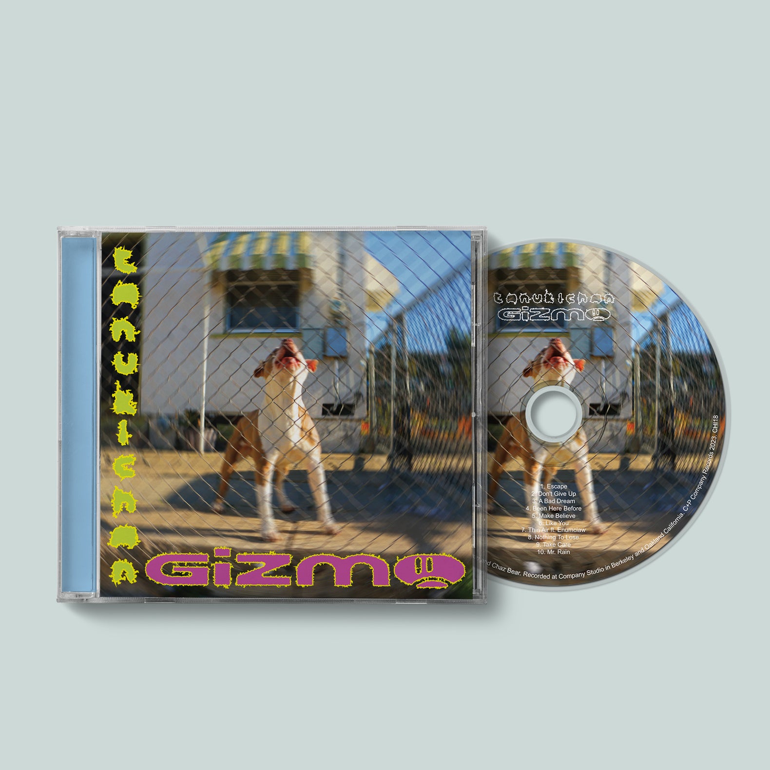 CHZ18 Tanukichan - GIZMO – Carpark Records