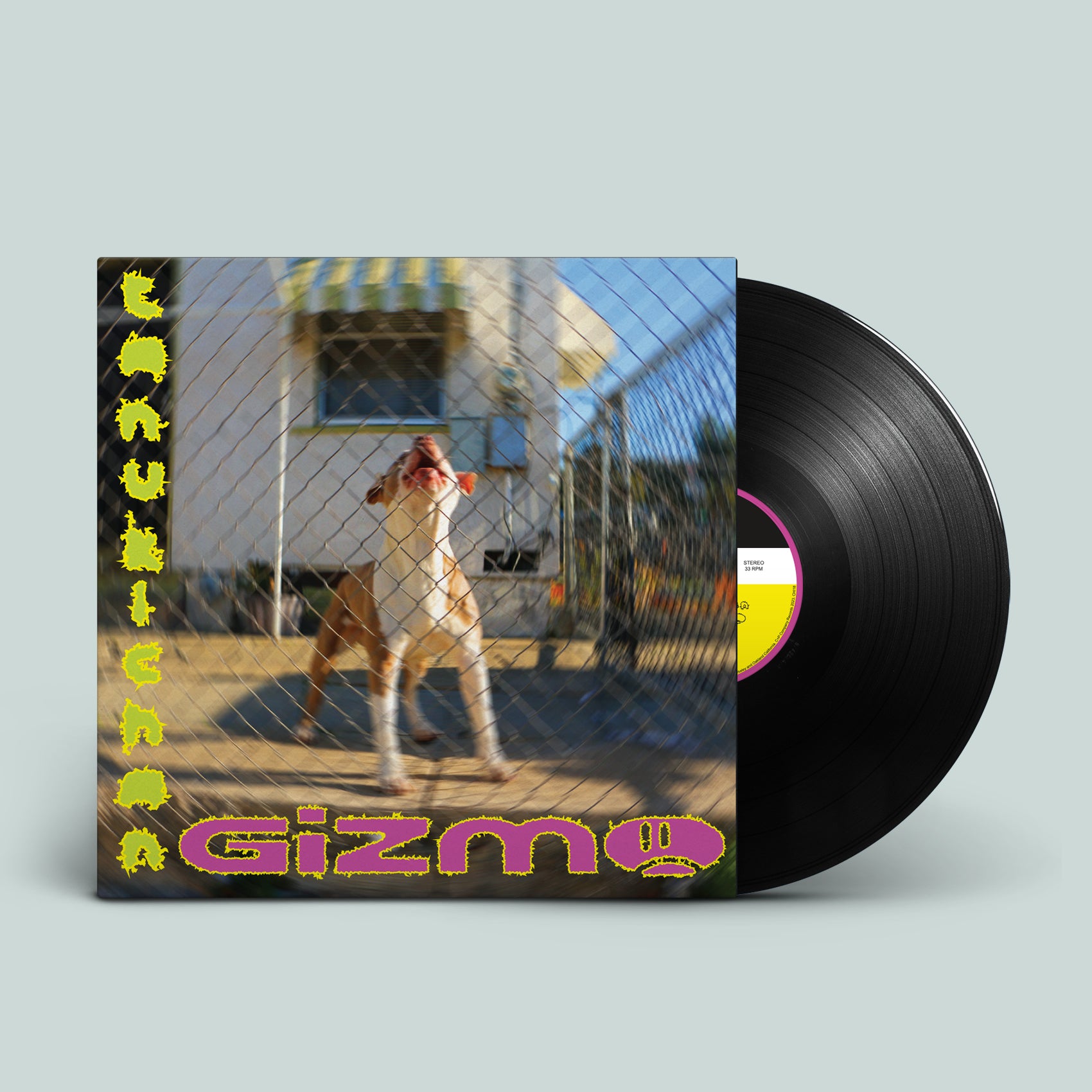 CHZ18 Tanukichan - GIZMO – Carpark Records