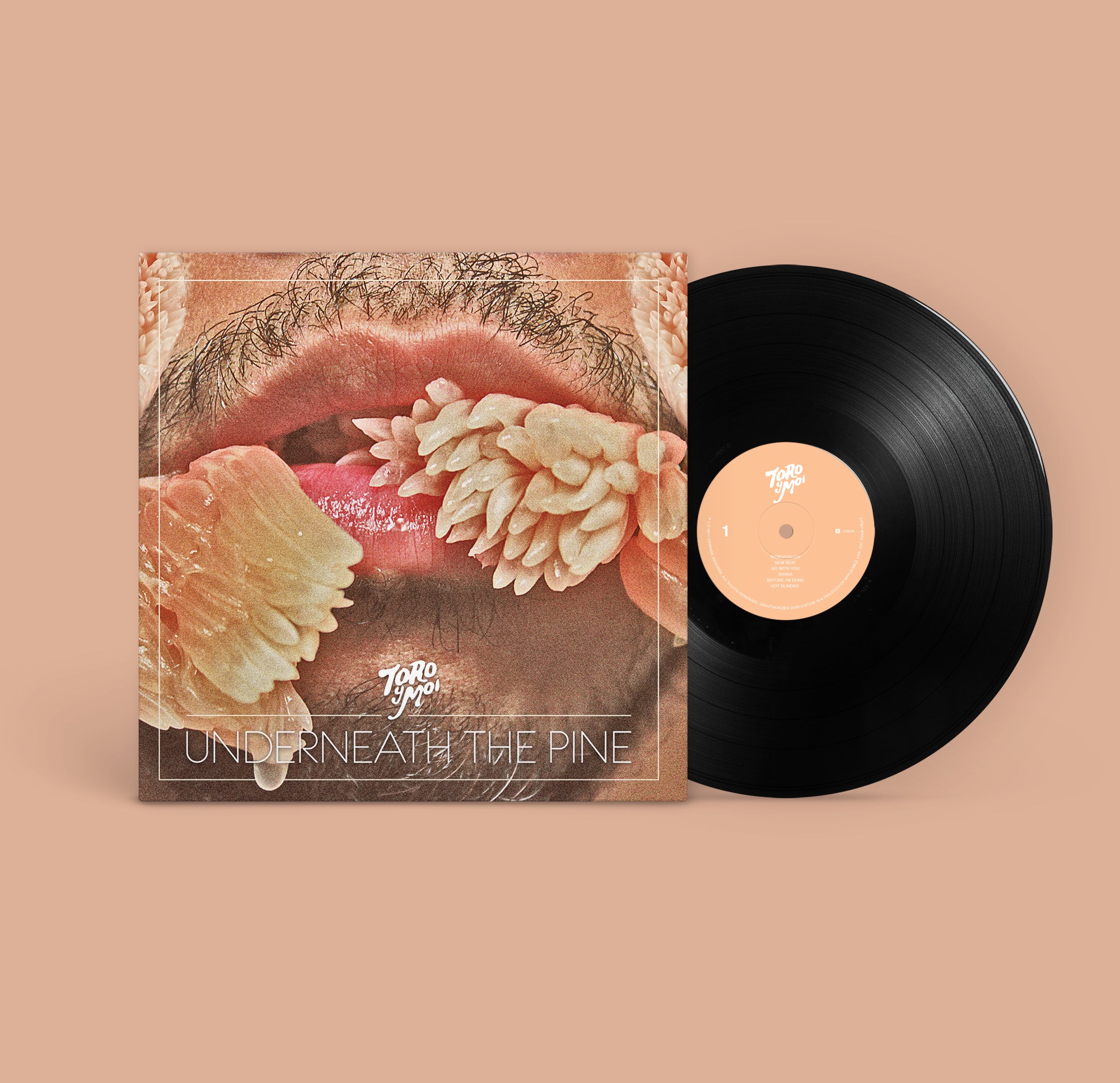 ToroYMoi_UTP_Mockup.jpg?v=